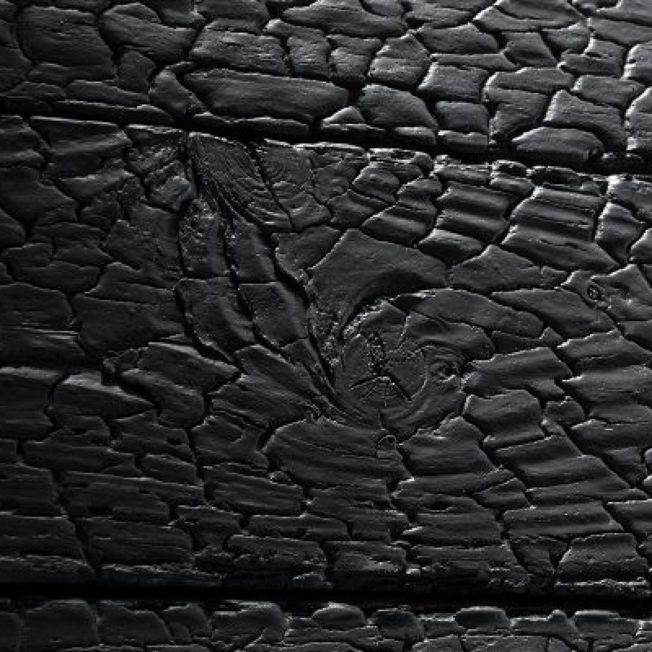 XSTEIN PANELPIEDRA REMEMBER BURNED YAKISUGI BURNED WOOD IMITAT WAND